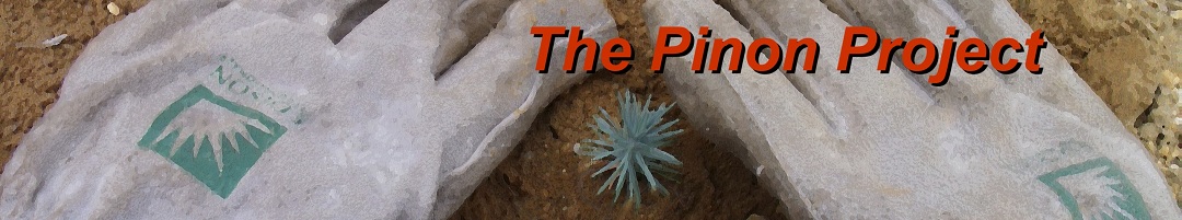 Pinon Project Banner Image